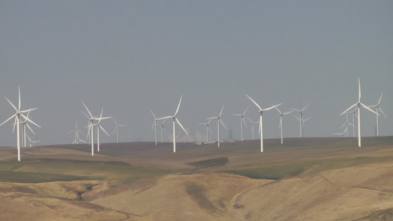 windmills.jpg