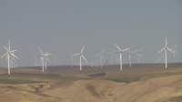 windmills_small.jpg