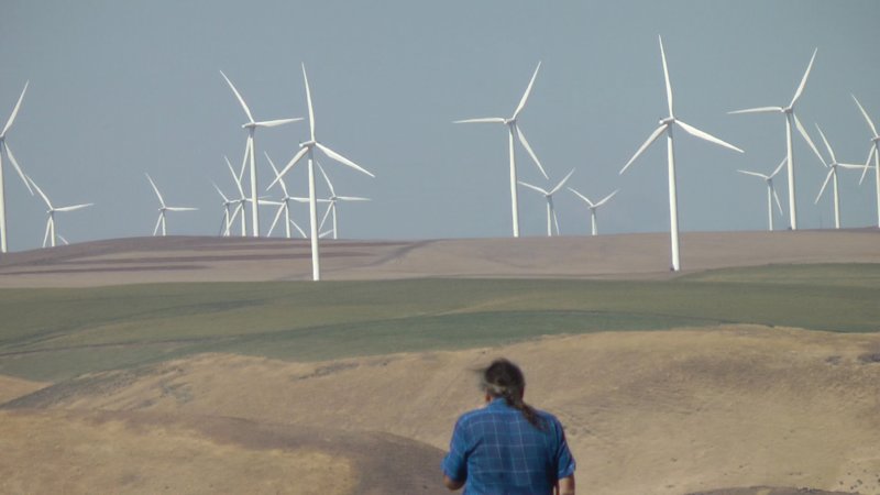 windmills2.jpg